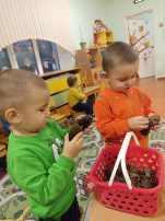 День рождения Медведя День рождения Медведя.